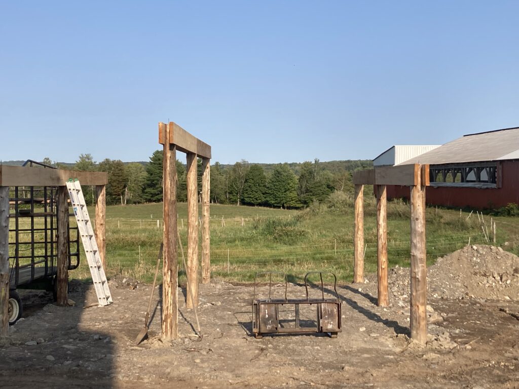 the start of our wood boiler project