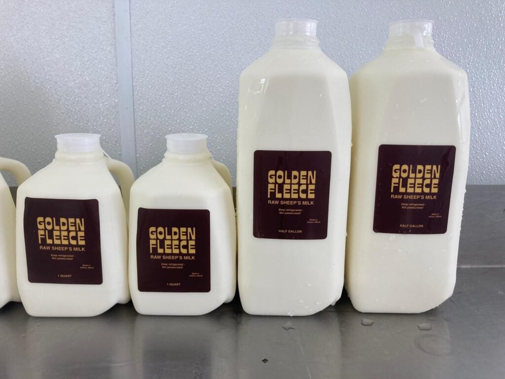 Golden Fleece Farm raw sheep's milk